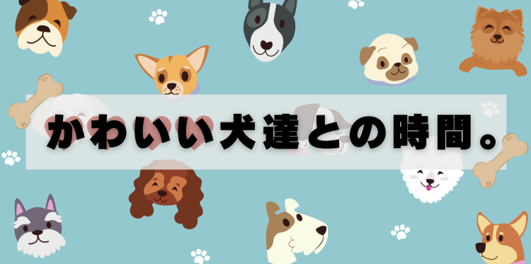 かわいい犬達との時間。